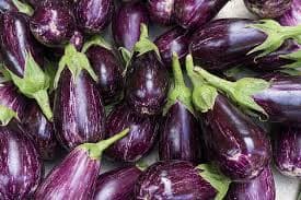 Fresh Brinjal