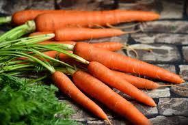 Fresh Carrot